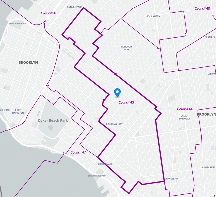 NYC Council Primaries: District 43