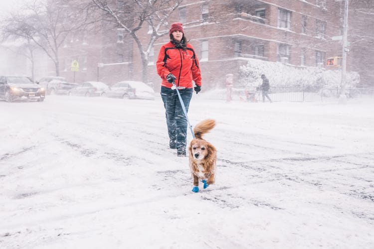 More Photos Of Grayson Around Brooklyn