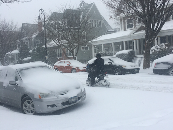 Snow Day Photos Of Ditmas Park