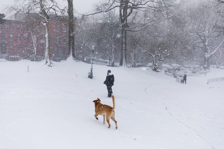 Winter Storm Warning Remains In Effect Through 6am Thursday (March 22)