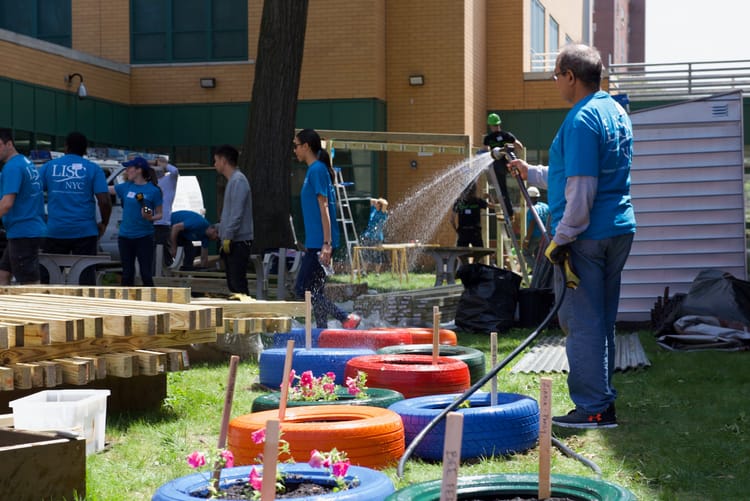 A Community Garden Grows in Bushwick