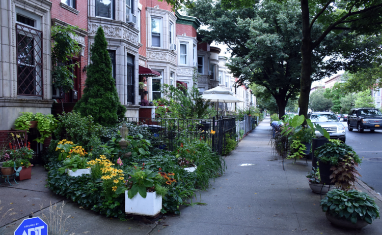 Greenest Block In Brooklyn Awarded To Prospect-Lefferts Gardens