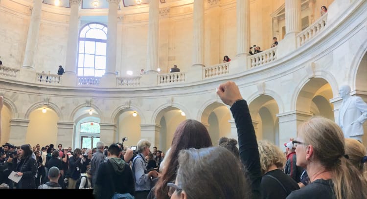 Park Slope Moms Arrested During Kavanaugh Protest in DC