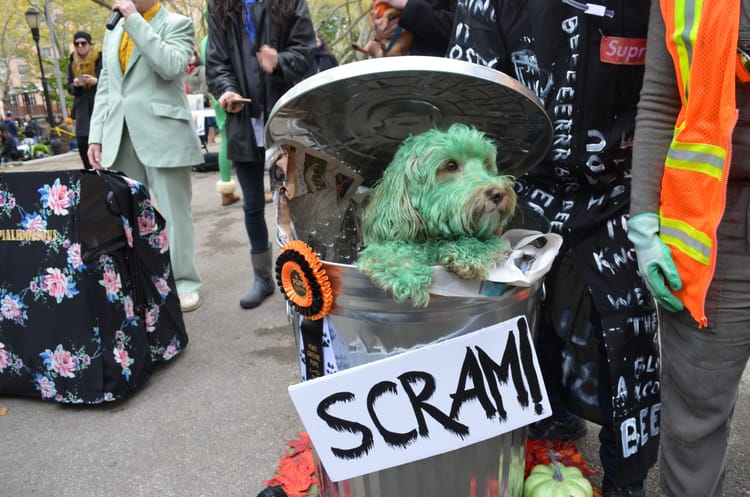 See The Winners Of The 20th Annual Great PUPkin Dog Costume Contest