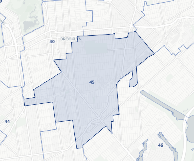 Meet The Candidates Running For The 45th Council District (Updated)