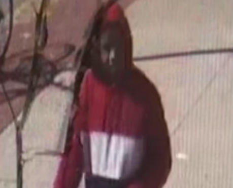 Police Searching For Man Who Assaulted 3 Women In Prospect Park