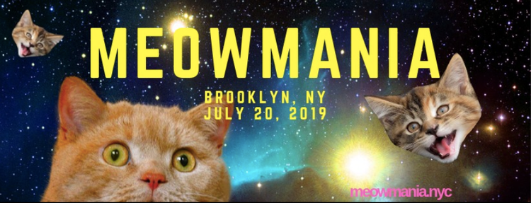 Meowmania: Celebrate Cats & Raise Money For Rescue Groups