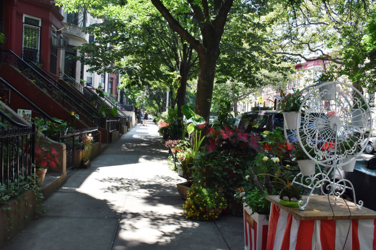 Crown Heights Block Wins Greenest In Brooklyn