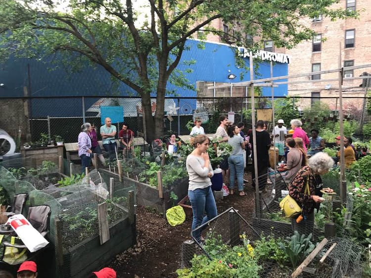 Q Gardens Awarded NYC Parks GreenThumb “Sustainability” Award 