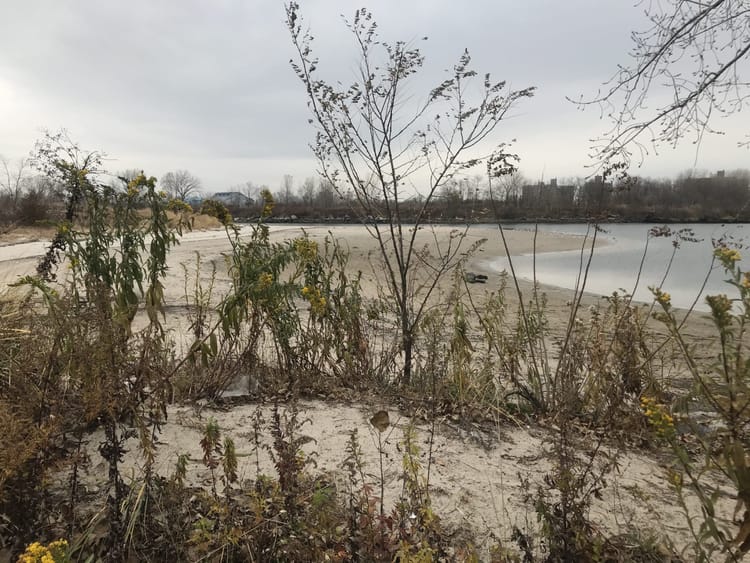 Locals Fear New Projects at Coney Island Creek Will Worsen Pollution 