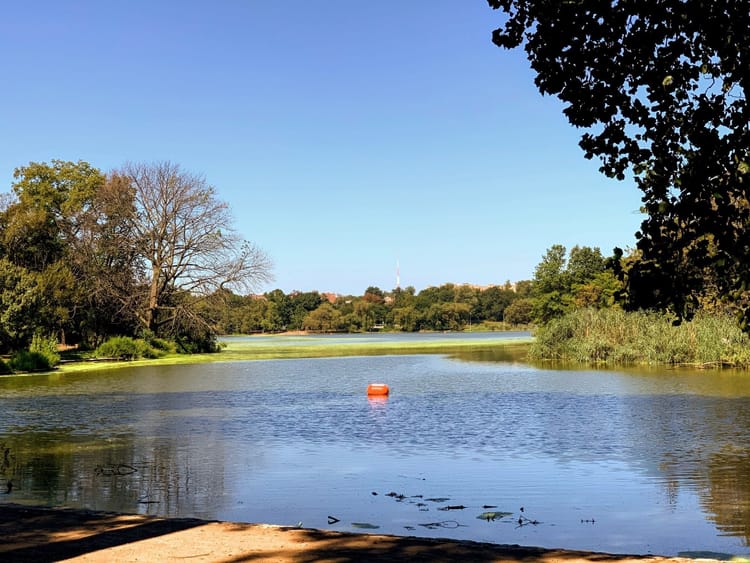 Hundreds Of Eels Dumped Into Prospect Park Lake