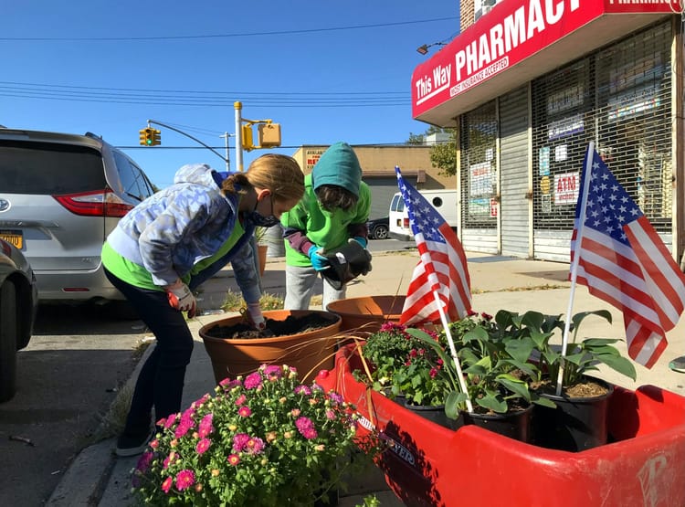 Fall Gardening: The Ryder Street Rockets are Brightening The Neighborhood, Will Stuart Street Slimers Be Next?