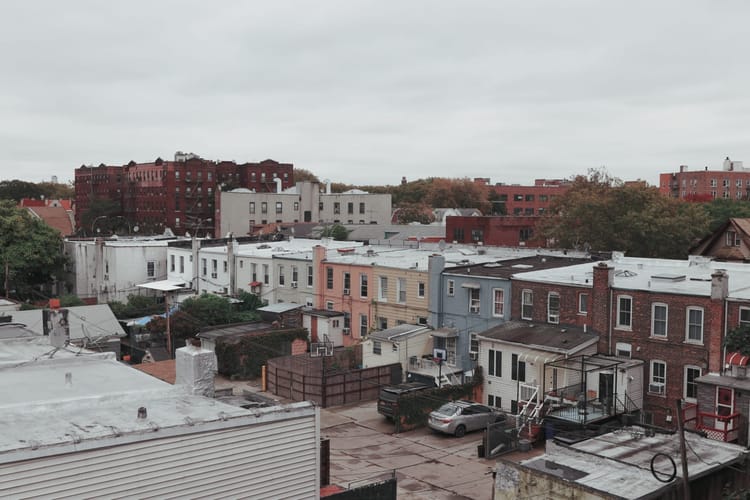 What’s Happening In Brooklyn: COVID-19 Cases, Neighbors Saving Cats, Crime & Elections