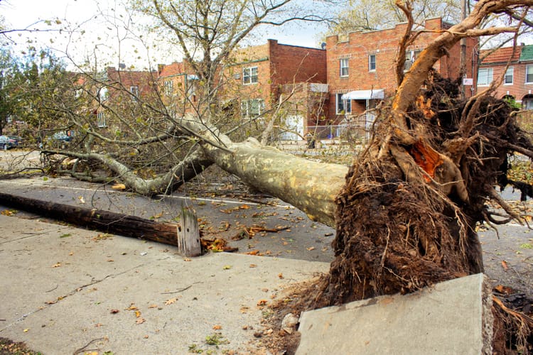 Eight Years Since Hurricane Sandy And There’s Still More Work To Be Done