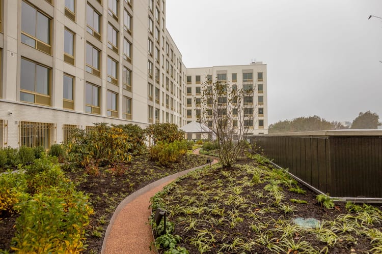 The Fountains Opens To Provide Hundreds Of Truly Affordable And Supportive Homes