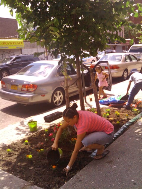 Isabelle’s Garden on Cortelyou Road