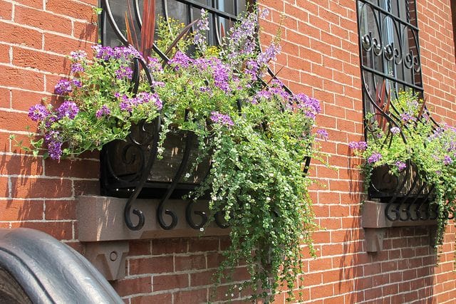 Park Slope’s Greenest Blocks