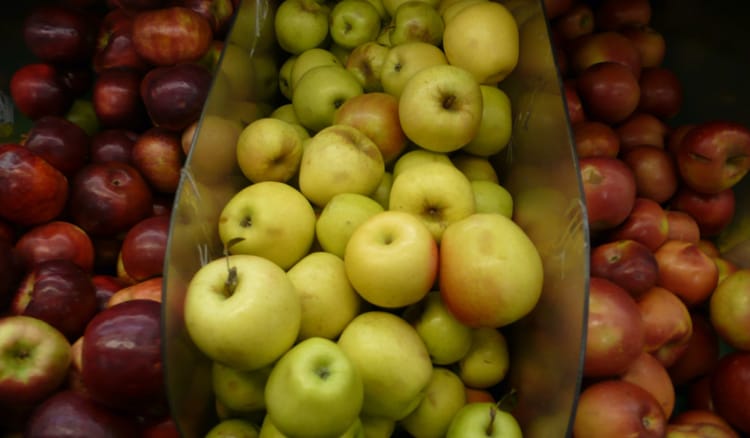 This Week at the Coop: Apples