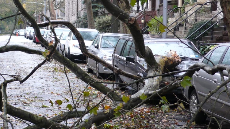 Park Slope Is Back in Business