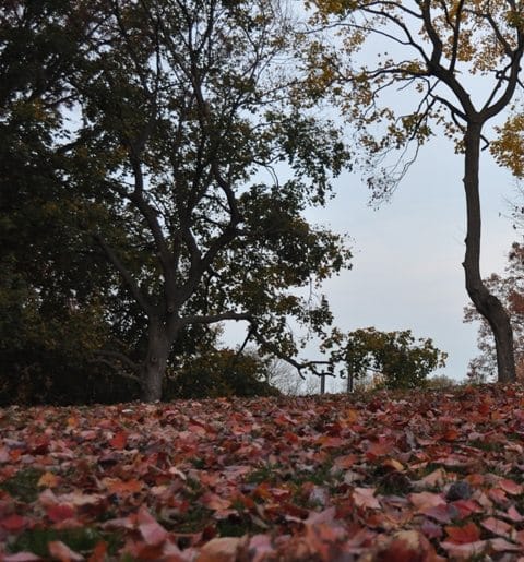 Reminder: Parks Remain Closed After Sandy