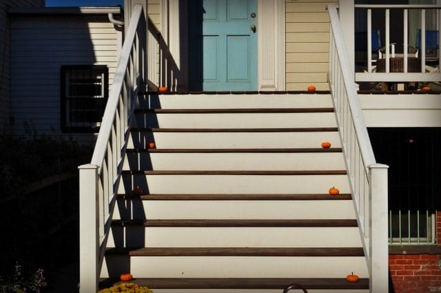 Photo of the Day: Honey I Shrunk the Pumpkins