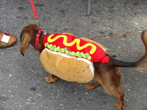 Hot Dog