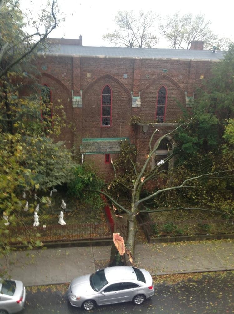 Tree Down at St. John the Evangelist Church