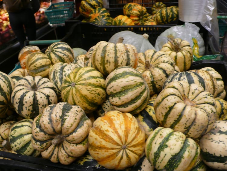 This Week at the Coop: Winter Squash