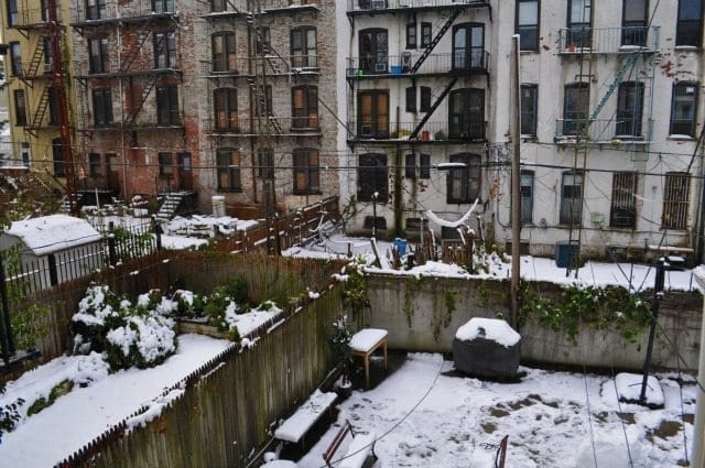 Athena Strikes: Snow and Trees Around South Slope