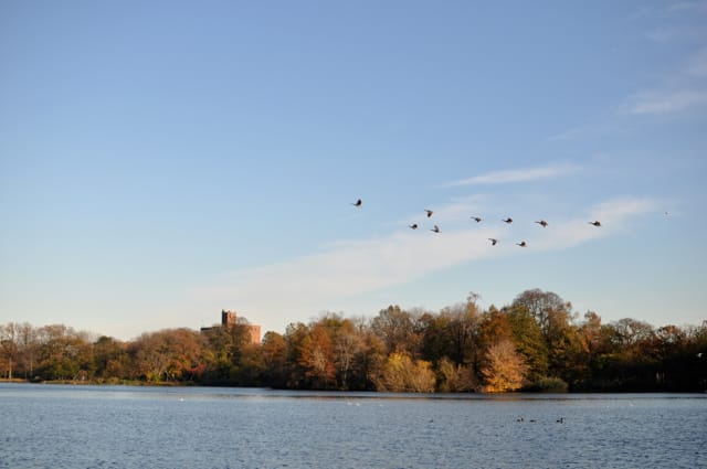 Fall at the Lake