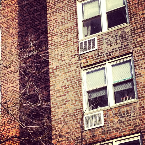 Menorah in a Window