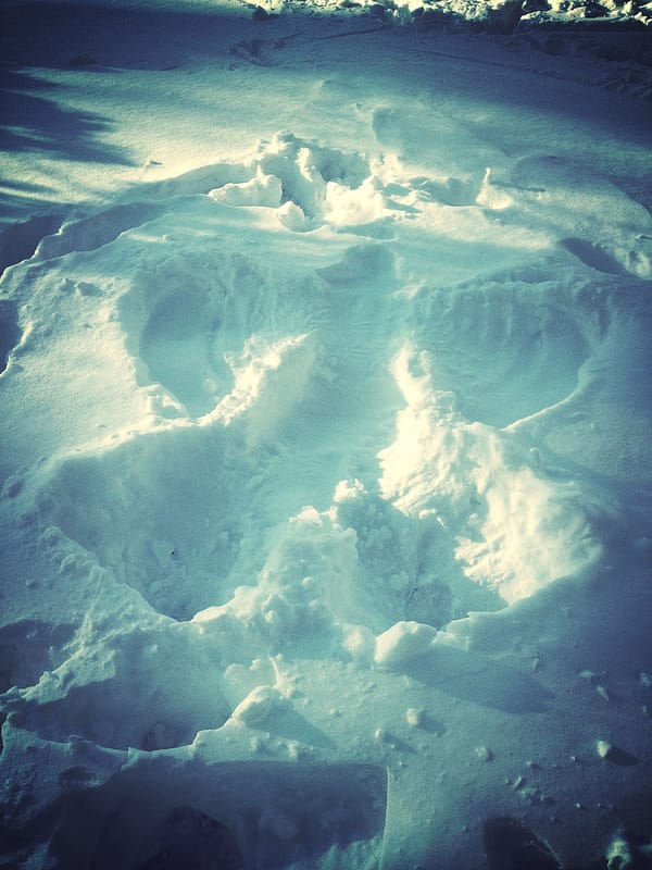 Snow Angel