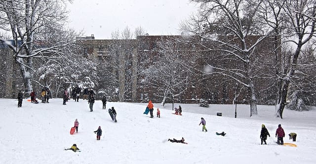 Snow Day in Prospect Park!