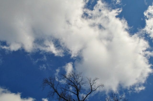 Photo of the Day: Blue Skies