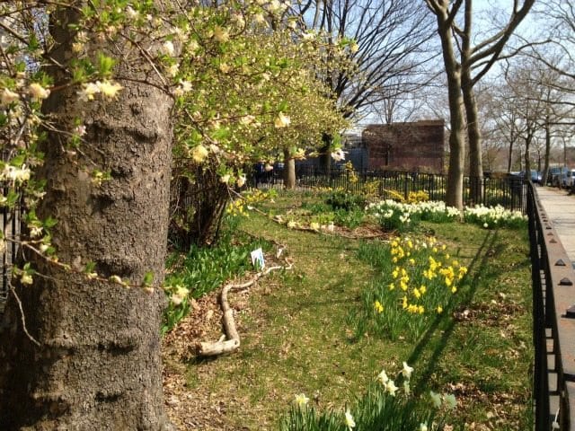 Photo of the Day: Butterfly Garden