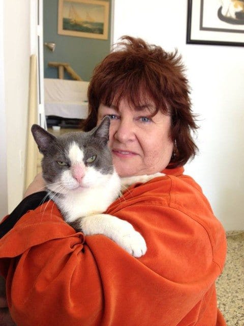 Cheers For Chadwick! South Slope Cat Finds New Home