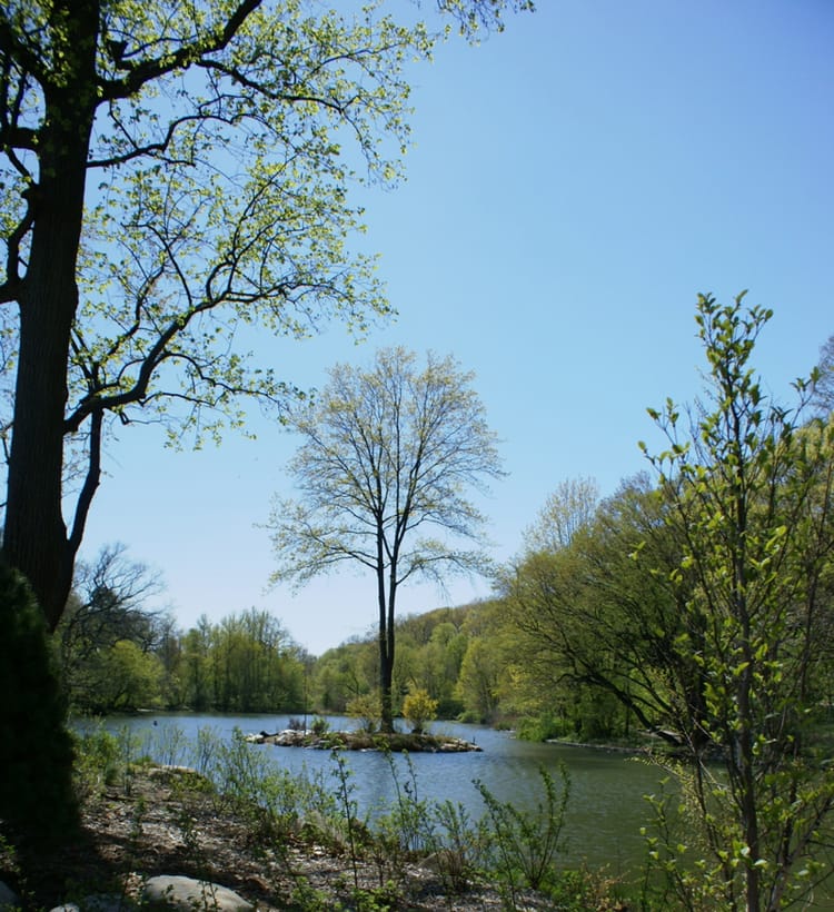 Go Foraging In Prospect Park Saturday