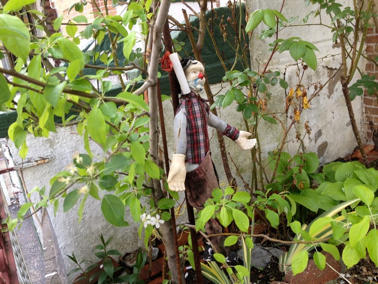 Photo Of The Day: Garden Clown