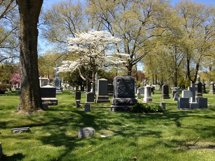 This Saturday, Attend A Talk On Green-Wood Cemetery Designer David Bates Douglass