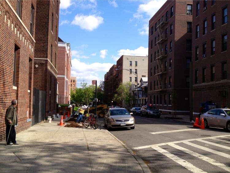 It's Happening! New Trees On Westminster