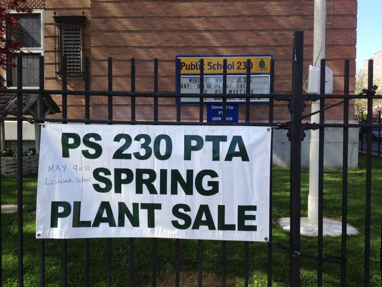 Plant Sale At PS 230 This Week