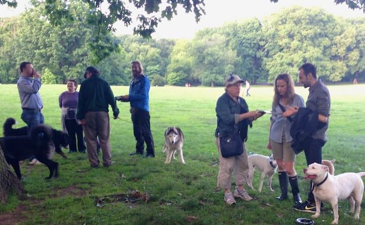 Scenes From FIDO's Annual Pupnic In Prospect Park