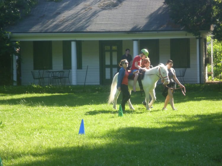 Love Horses & Helping Others? Volunteer With Gallop At Kensington Stables