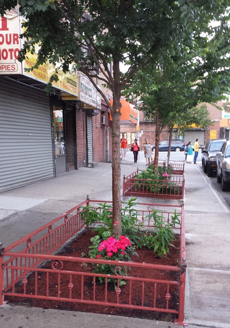 Cortelyou Road Tree Pits Get Spruced Up