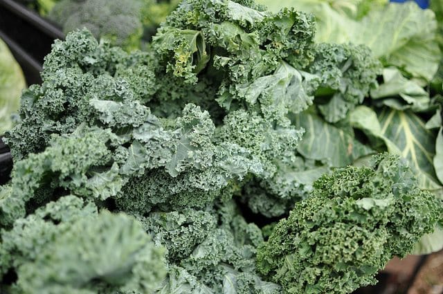 Kale Sale At PS 295 Farmers Market