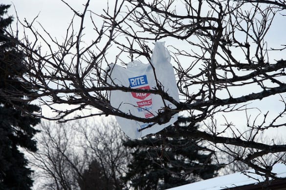 Southern Brooklyn Pols Blast Plastic Bag Fee Passed By City Council