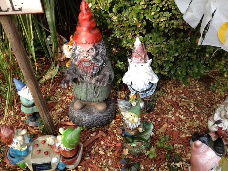 Photo Of The Day: Gnarly Gnome