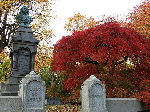 Photo Of The Day: Autumn In Green-Wood