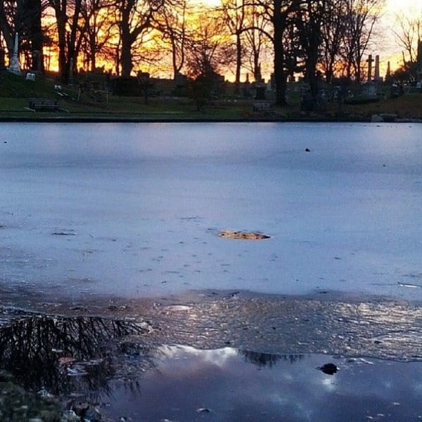 Photo Of The Day: Frozen In Green-Wood