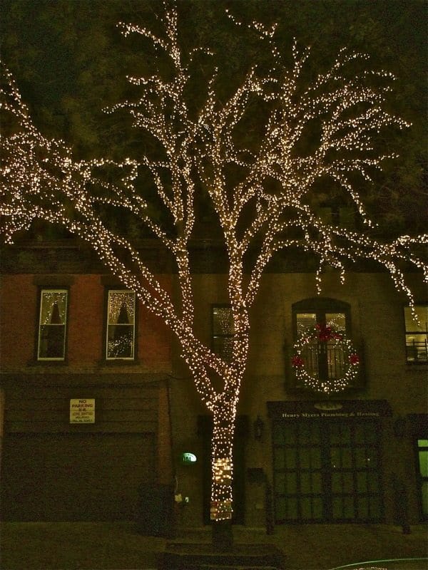 Christmas In South Slope: Twinkle Lights